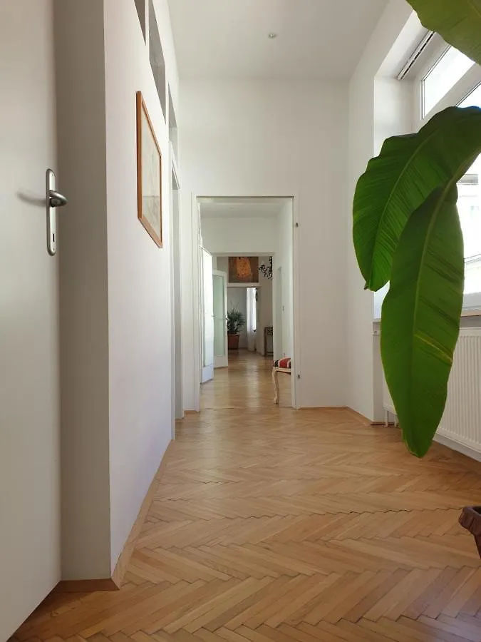 Sunny And Spacious Apartment Near City Centre Vienna 0*,