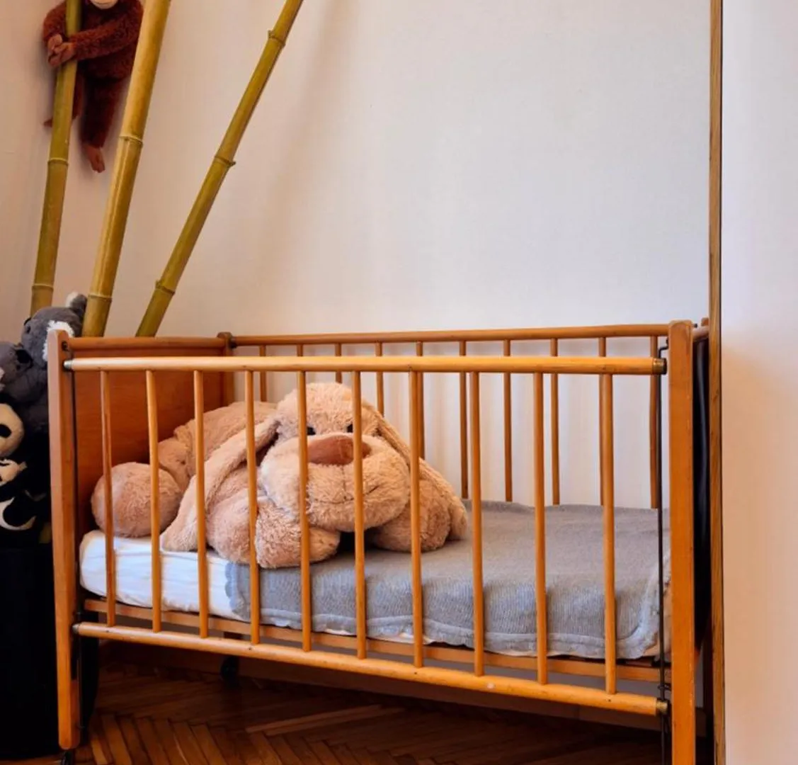 Sunny And Spacious Apartment Near City Centre Vienna